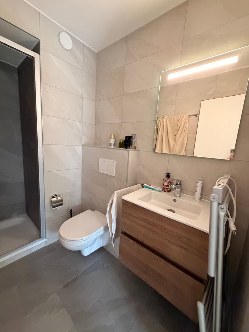 2 Studios renoviert in Vercorin | Ideale Investition (10)