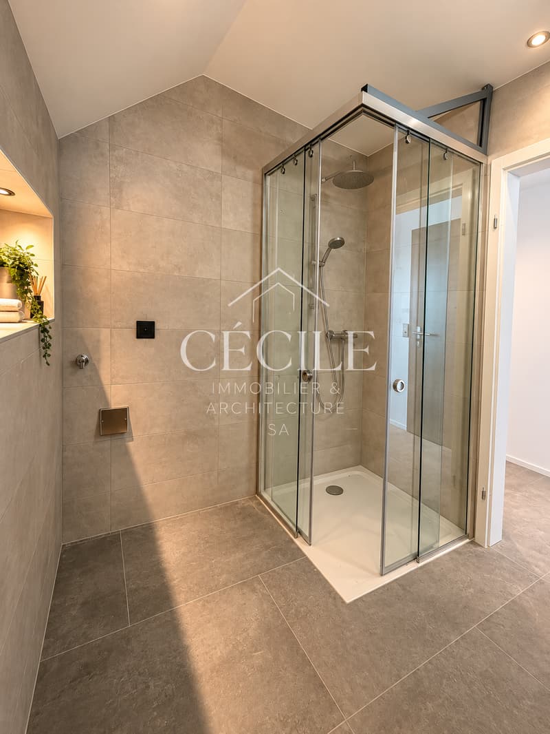 Magnifique appartement en attique de 4.5 pièces (5)