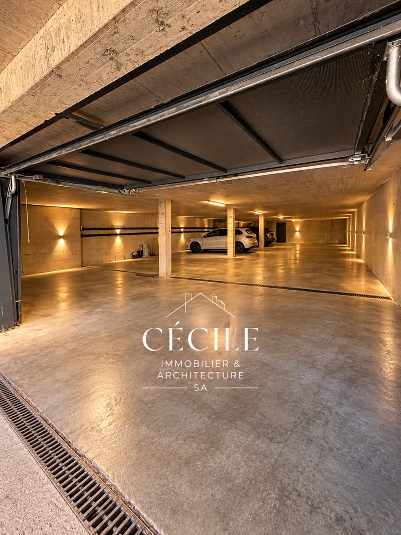 Magnifique appartement en attique de 4.5 pièces (21)