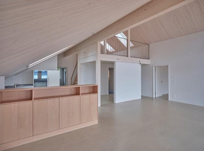 spacious room, light wooden ceiling, skylights, wooden cabinets, wooden floor, white walls, open floor plan, kitchen area