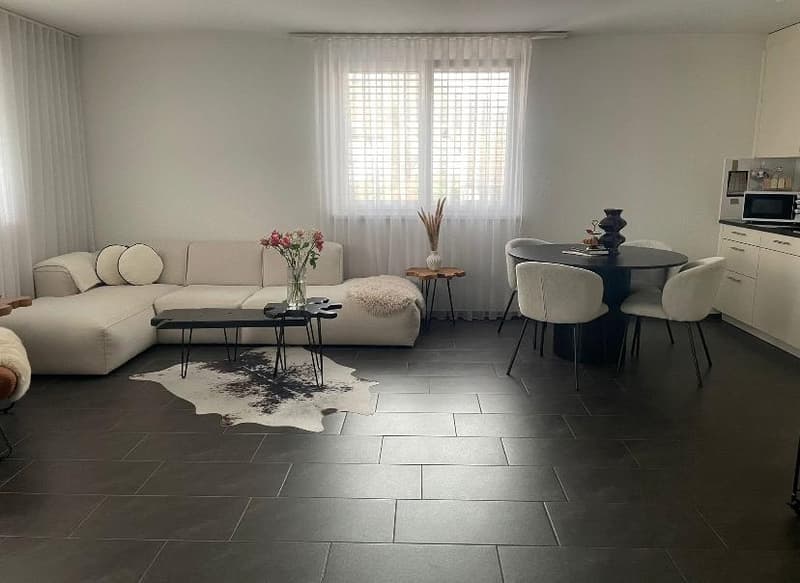 modern living room, white walls, dark tile flooring, large windows, dining table, couch, coffee table, rug