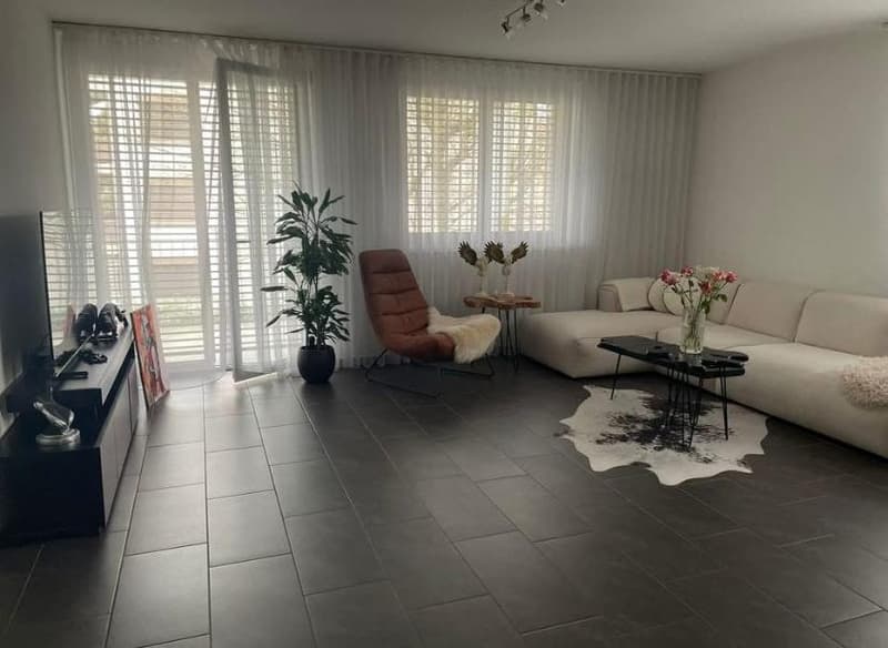 white sofa, brown leather chair, TV, side table, potted plants, cowhide rug, tiled floor