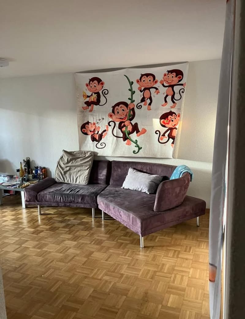 Living room with L-shaped sofa, monkey print wall art, wooden floor, side table with various items, curtains.