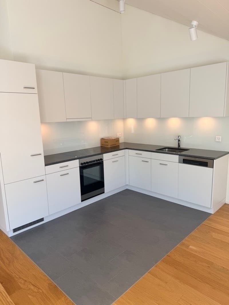 Appartement moderne et neuf de 4,5 pièces dans un quartier calme (1)