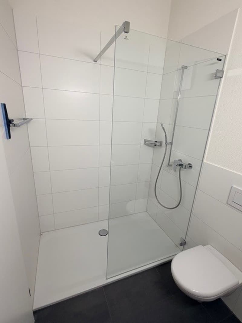 Appartement moderne et neuf de 4,5 pièces dans un quartier calme (6)