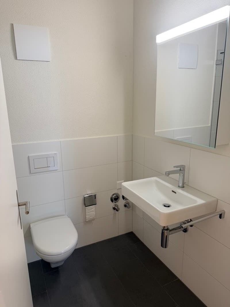 Appartement moderne et neuf de 4,5 pièces dans un quartier calme (7)