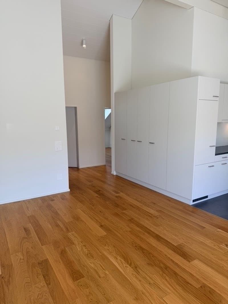 Appartement moderne et neuf de 4,5 pièces dans un quartier calme (4)