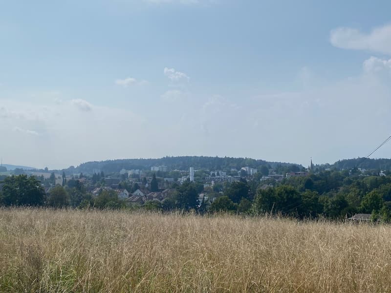 Appartamento giardino soleggiato con vista sulle Alpi in posizione ideale (19)