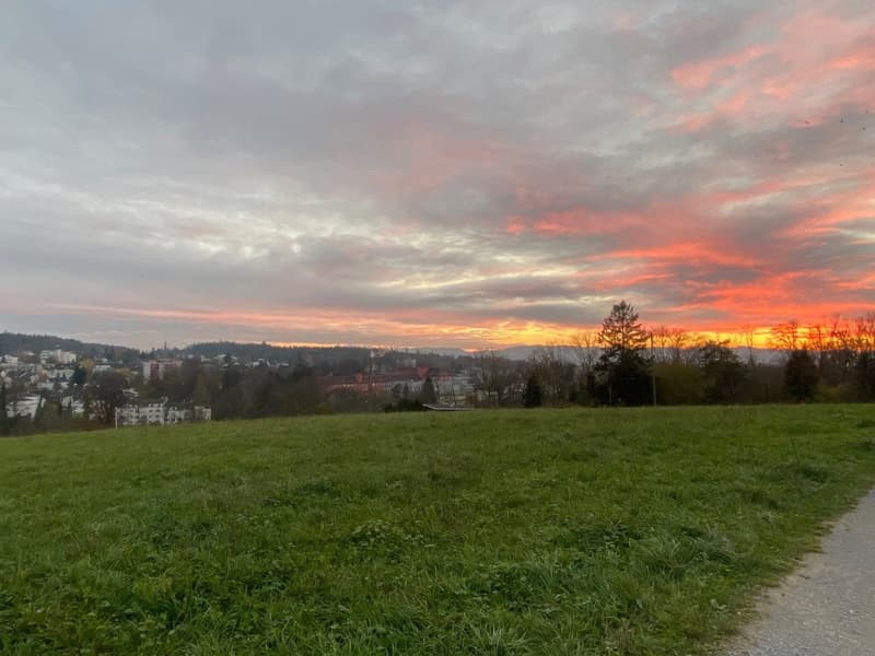 Appartamento giardino soleggiato con vista sulle Alpi in posizione ideale (18)