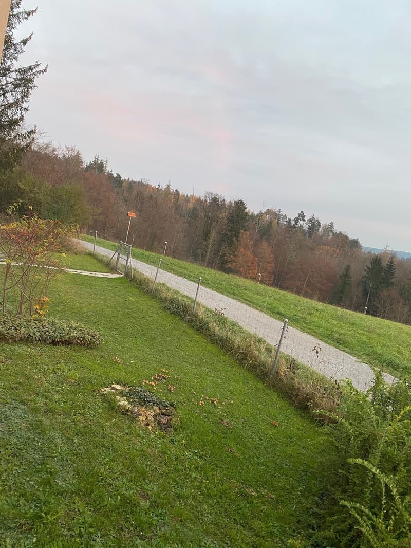 Appartamento giardino soleggiato con vista sulle Alpi in posizione ideale (16)