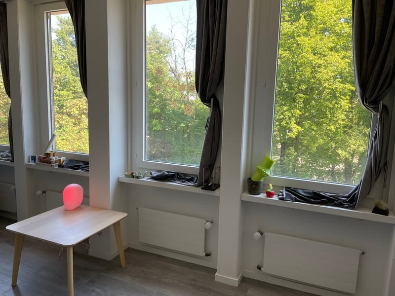 1.5-Zimmer-Wohnung in Schwerzenbach (5)