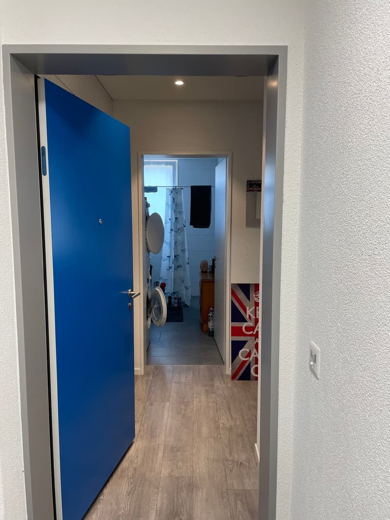 1.5-Zimmer-Wohnung in Schwerzenbach (8)