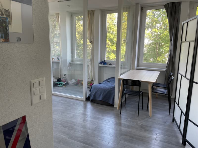 1.5-Zimmer-Wohnung in Schwerzenbach (4)