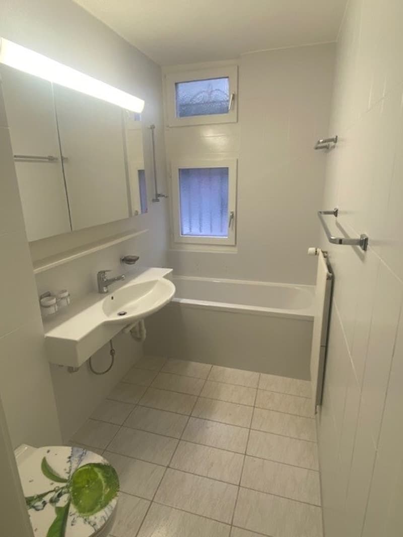 Charming 2.5-room apartment with additional separate office/guest room (8)