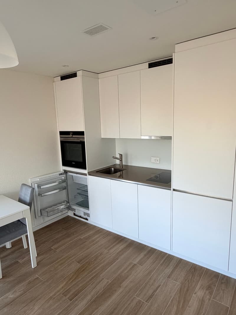 Modern Studio with Balcony in Opfikon – New Building (5)