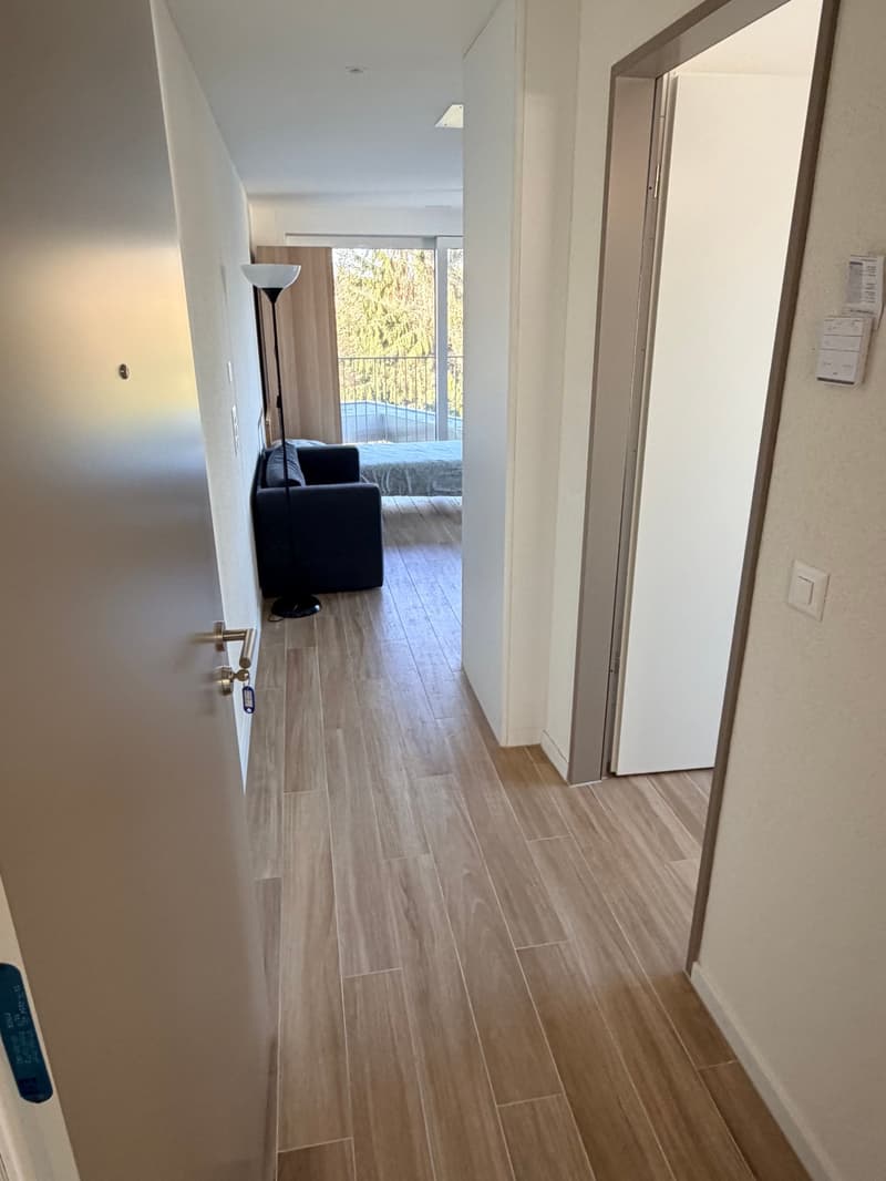 Modern Studio with Balcony in Opfikon – New Building (7)