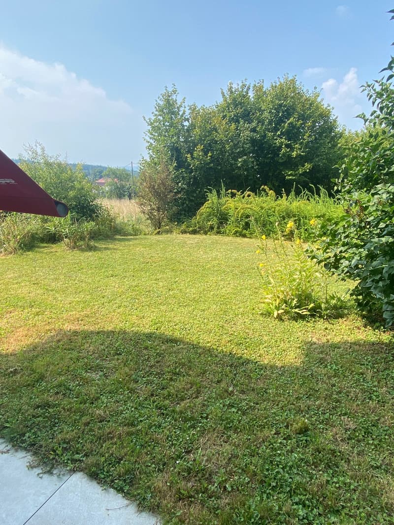 Sonnige Gartenwohnung mit Alpenblick an Toplage (12)