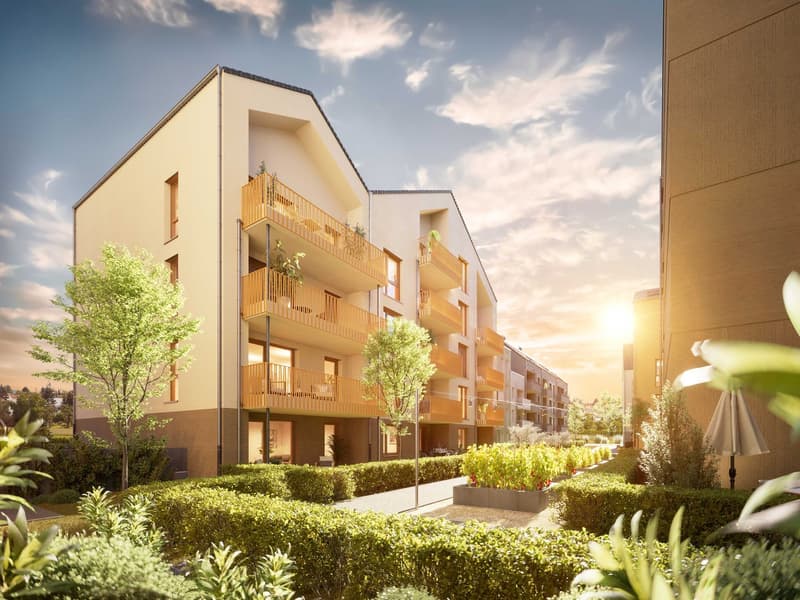 2,5 Zimmer Wohnung mit En Suite Bad (5)