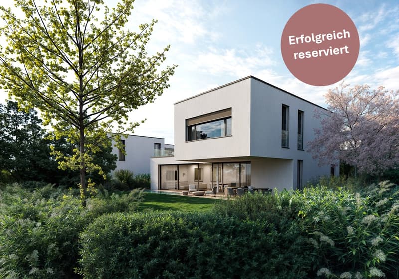 Modern white house, large windows, glass doors, swimming pool, garden, trees