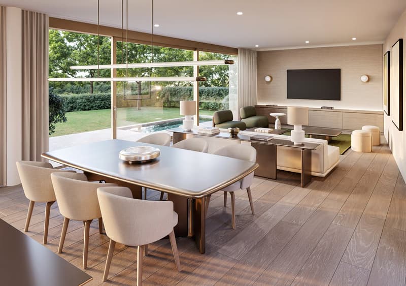 Open plan living area, dining table, sofas, armchairs, coffee table, dining chairs, glass wall, television, lamps, side tables