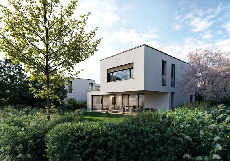 2 story modern house, large windows, swimming pool, grassy yard, patio, trees