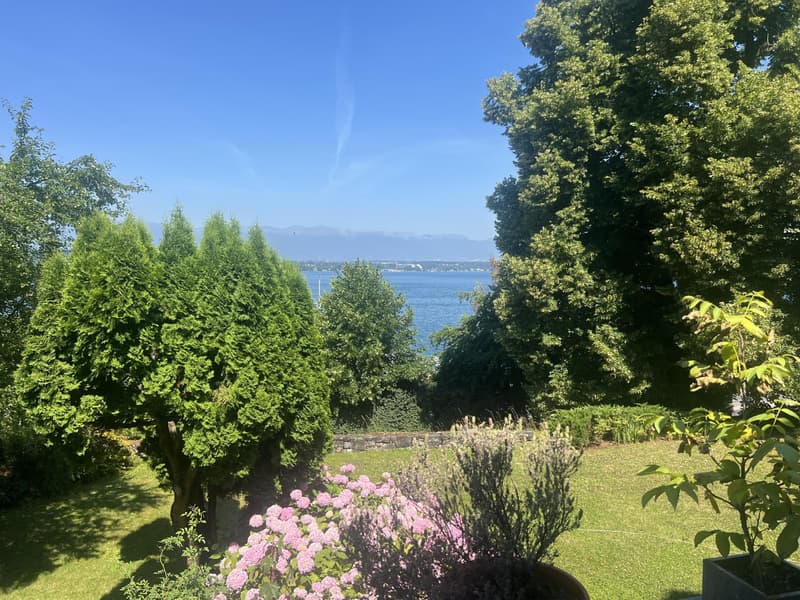 Charming Villa in Cologny - Price upon request (3)