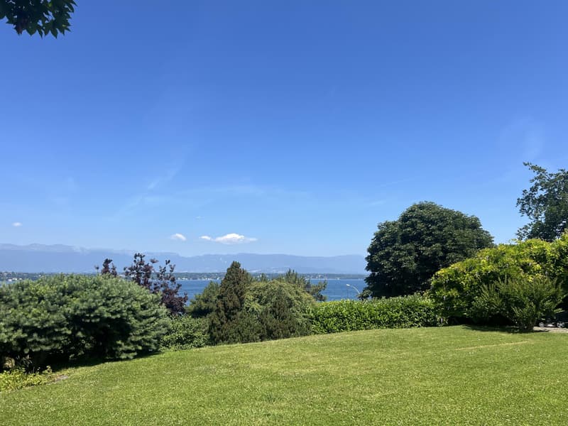 Charming Villa in Cologny - Price upon request (1)