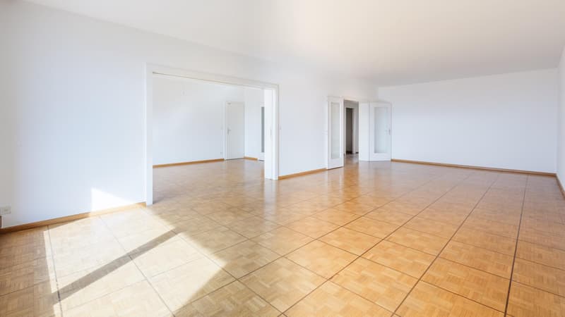 Matutina Parc - Appartamento di 5 locali a Petit-Saconnex (4)