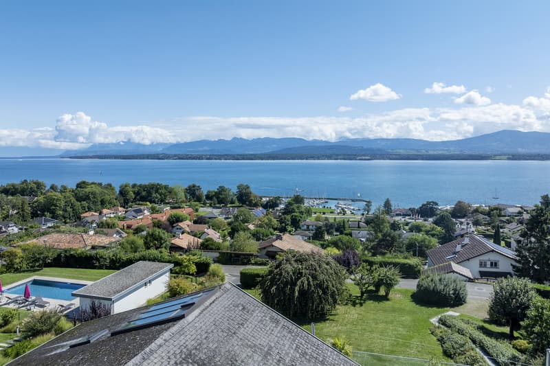 Eine außergewöhnliche Immobilie mit atemberaubendem Seeblick! (4)