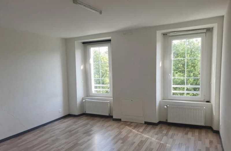Immobilienanlage mit Wohngebäude (3)