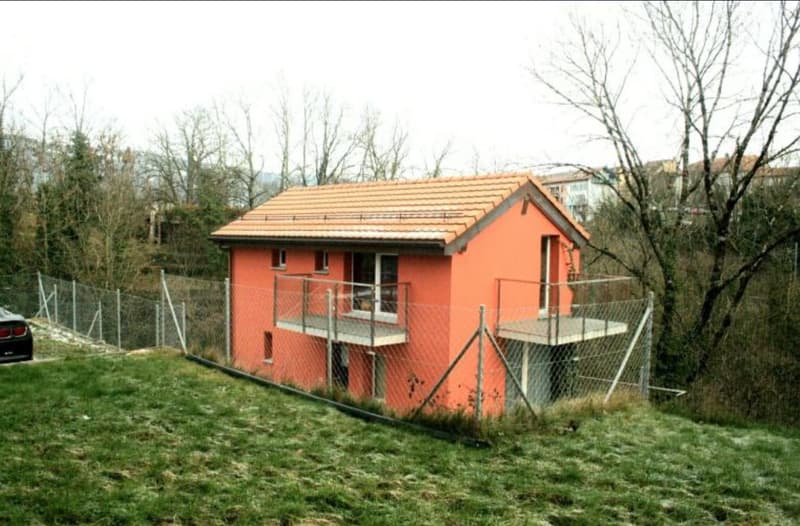 Immobilienanlage mit Wohngebäude (4)