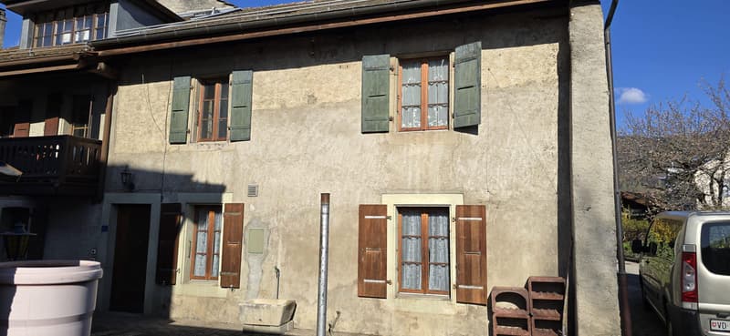 Exclusivity ? Property to renovate with high potential in Givrins (1)