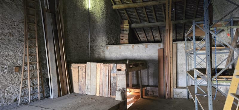 Exclusivité ? Bien à rénover avec fort potentiel à Givrins (9)