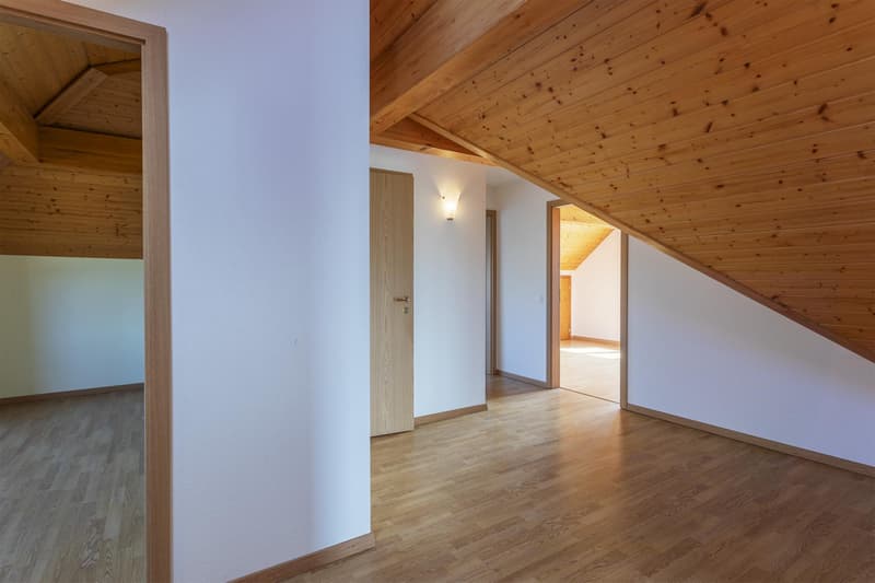 Beautiful and large family villa (8)
