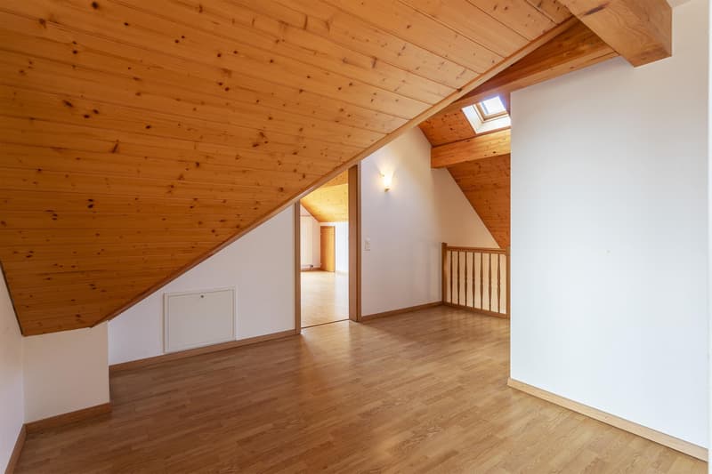 Beautiful and large family villa (9)