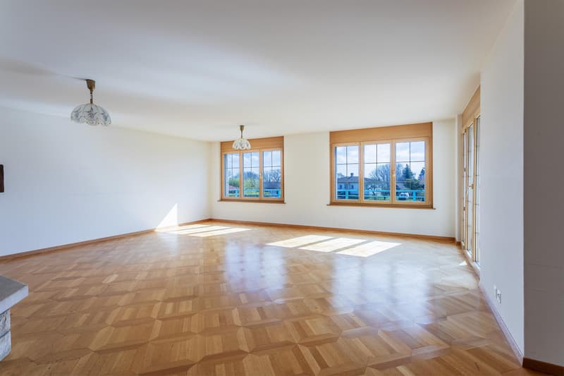 Beautiful and large family villa (5)