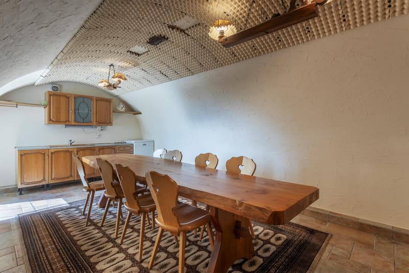 Beautiful and large family villa (12)