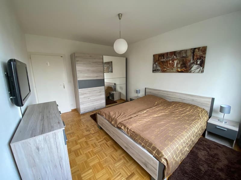Meraviglioso appartamento in affitto (9)