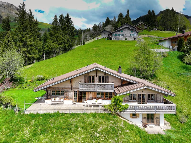 Magnificent chalet with exceptional views! (2)