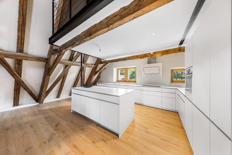 Last Lot! Superb attic with panoramic view of the lake and Mont Blanc (8)