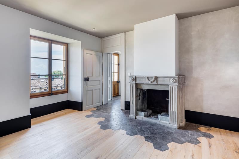Last Lot! Superb attic with panoramic view of the lake and Mont Blanc (13)