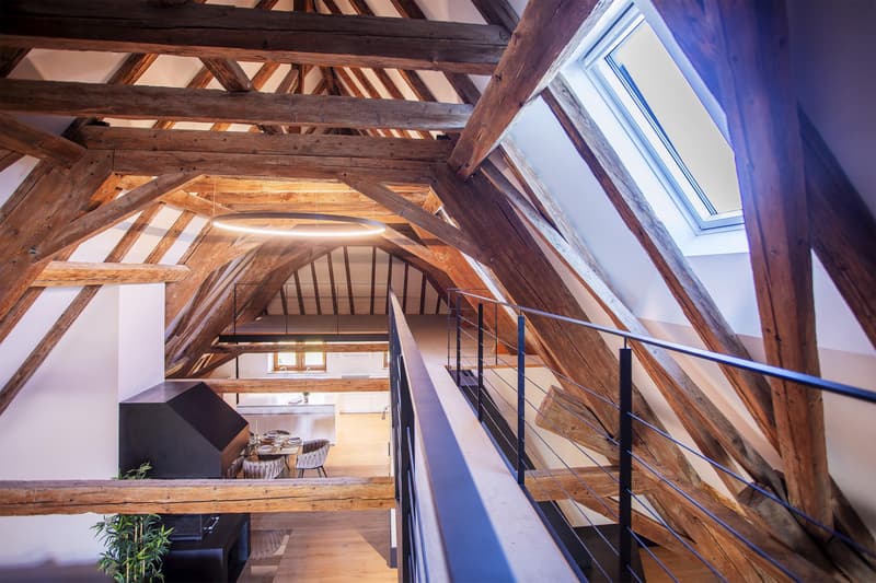 Last Lot! Superb attic with panoramic view of the lake and Mont Blanc (12)