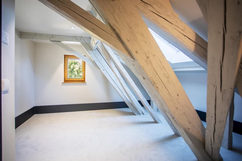 Last Lot! Superb attic with panoramic view of the lake and Mont Blanc (9)