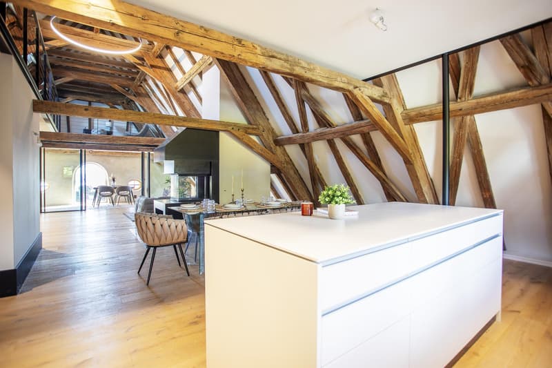 Last Lot! Superb attic with panoramic view of the lake and Mont Blanc (6)