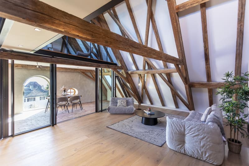 Last Lot! Superb attic with panoramic view of the lake and Mont Blanc (3)