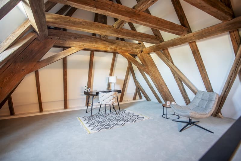 Last Lot! Superb attic with panoramic view of the lake and Mont Blanc (11)