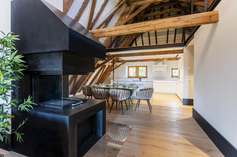 Last Lot! Superb attic with panoramic view of the lake and Mont Blanc (5)