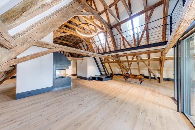 Last Lot! Superb attic with panoramic view of the lake and Mont Blanc (4)