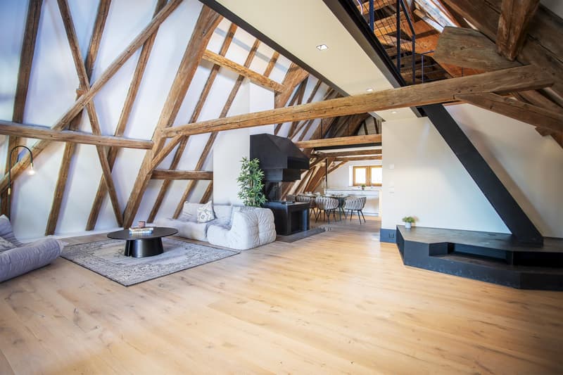 Last Lot! Superb attic with panoramic view of the lake and Mont Blanc (1)