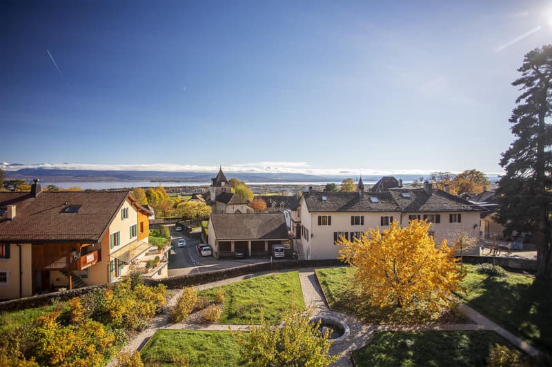 Last Lot! Superb attic with panoramic view of the lake and Mont Blanc (2)